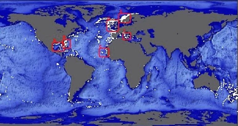 indplaatsen van koudwaterkoraalriffen (witte stippen) gevonden. De gegevens zijn afkomstig van het United Nations Environment Programme (UNEP)
