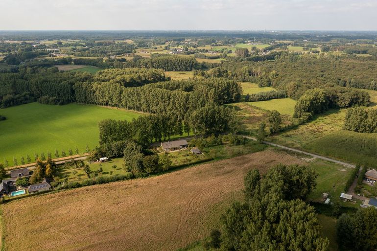 Ook dit perceel voormalige landbouwgrond zal na de aanplant van bomen door Trees for All een nieuwe schakel vormen tussen de leembossen in Het Groene Woud
