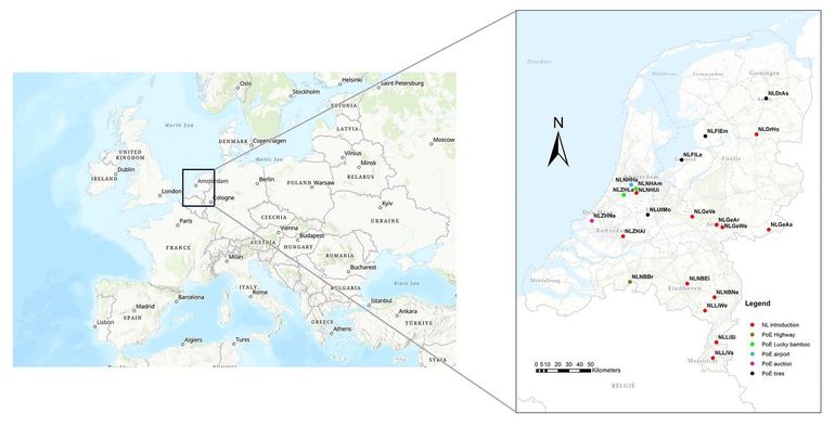Verschillende introductieroutes van de tijgermug