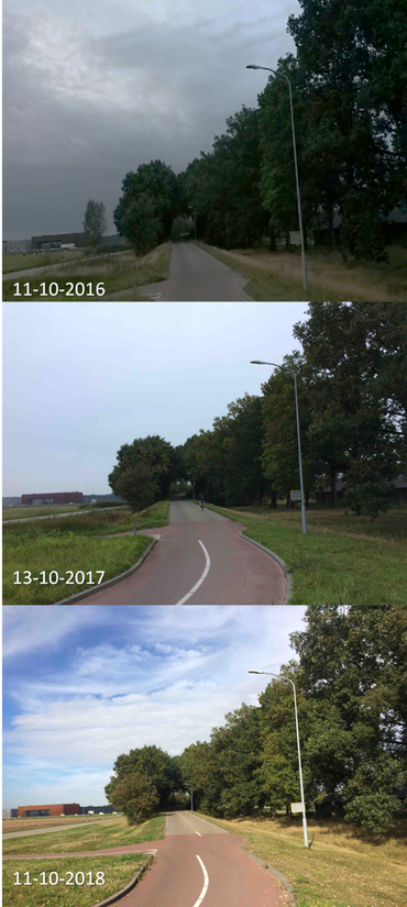 Verschil in herskleuring van zomereiken in Ede tussen 2016, 2017 en 2018