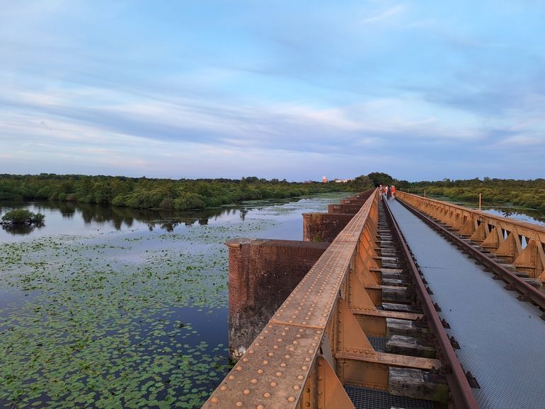 FLORON-kamp: excursie Moerputten