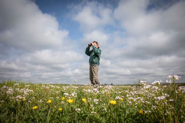 Een veldcoördinator aan het monitoren in het veld