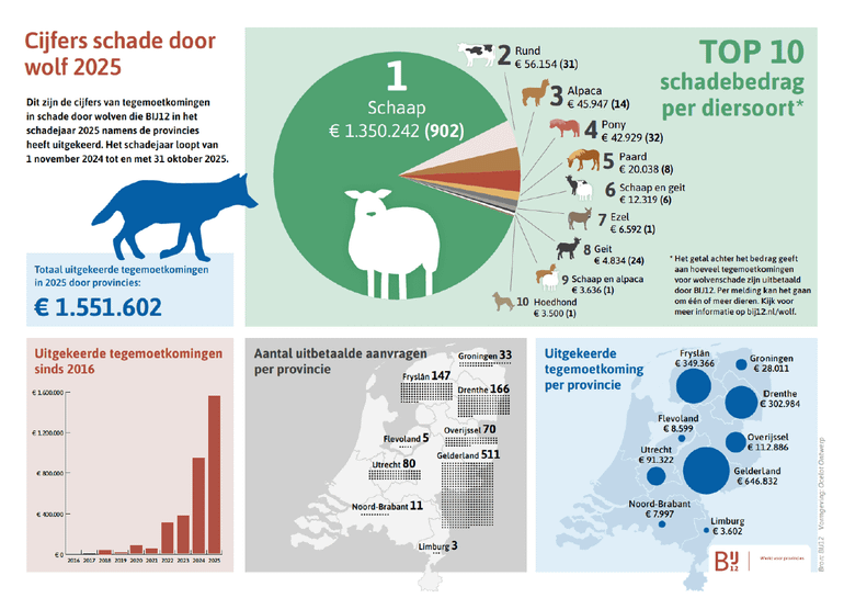 Infographic over veeschade door wolven in 2025