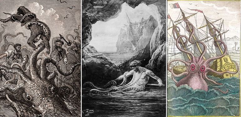 'Kraken' uit gruwelverhalen in boeken van onder andere Jules Verne. Hoewel vaak een octopus – met acht armen – wordt afgebeeld, zijn de echt grote inktvissen altijd Pijlinktvissen, die tien armen hebben