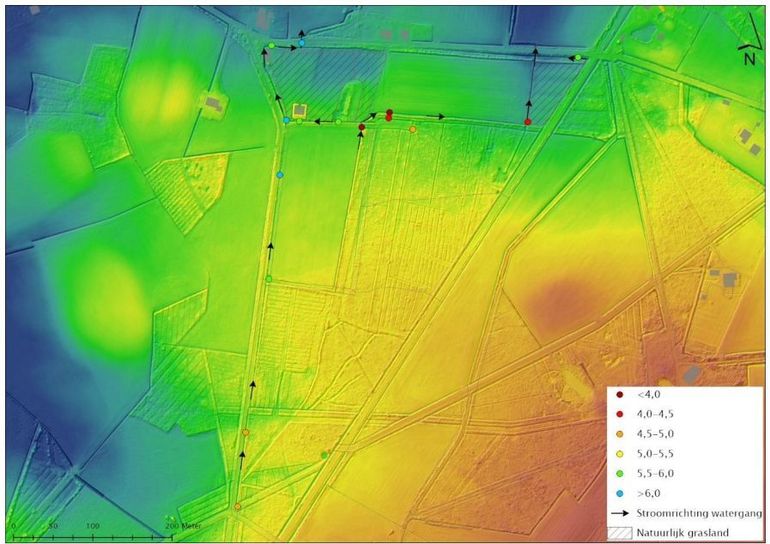 De pH-waarden op verschillende locaties in de watergangen rond het perceel in Winterswijk. De zwarte pijlen geven de stromingsrichting van het water aan
