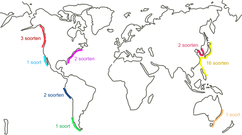 Wereldkaart waarop in verschillende kleuren de herkomst van het aantal in Nederland geïntroduceerde zeewiersoorten is aangegeven. Het is duidelijk dat de meeste exoten oorspronkelijk uit het Aziatische deel van de Grote Oceaan komen