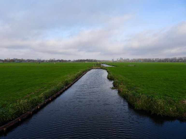 Duivendrechterpolder, met zicht op Amsterdam