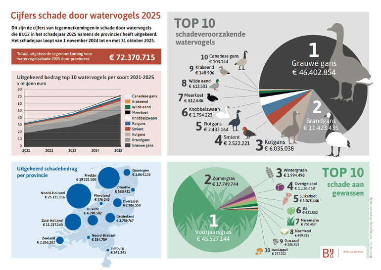 Infographic over schade door watervogels in 2025