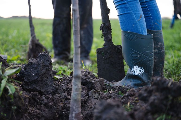 Boeren kijken meer naar het totale systeem en hebben vaker bomen en struiken op hun percelen