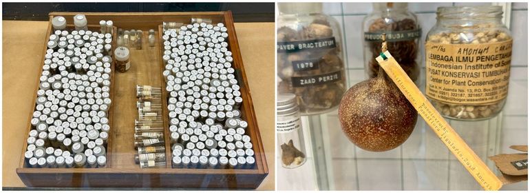 De collectie is recent opnieuw geadministreerd en gedeeltelijk in nieuwe buisjes verpakt