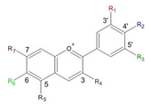 Flavylium-ion C15H11O+