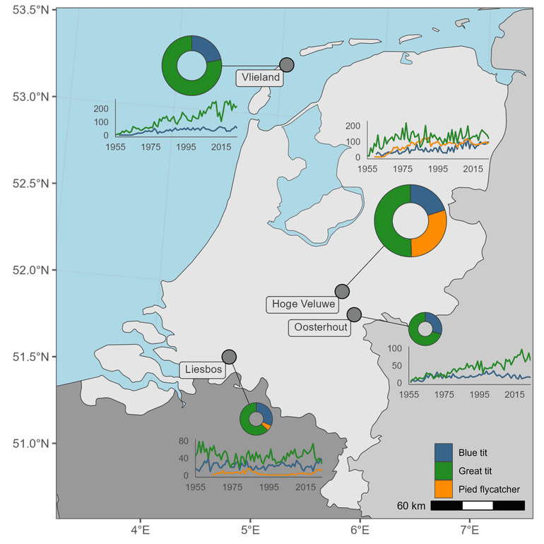 The map shows the four main research areas for the blue tit, great tit and European pied flycatcher, the number of first broods per species per year (graphs) and the relative contribution of each species to the dataset (donuts). The size of the donuts is scaled to the total number of broods at each location