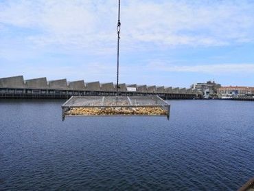Proef met de tewaterlating van de frames