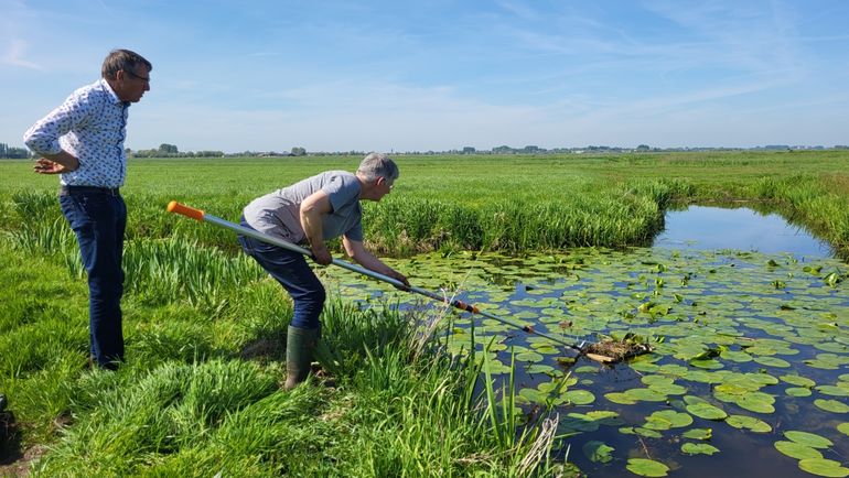 Vrijwilligers plaatsen nestvlotjes in het water.