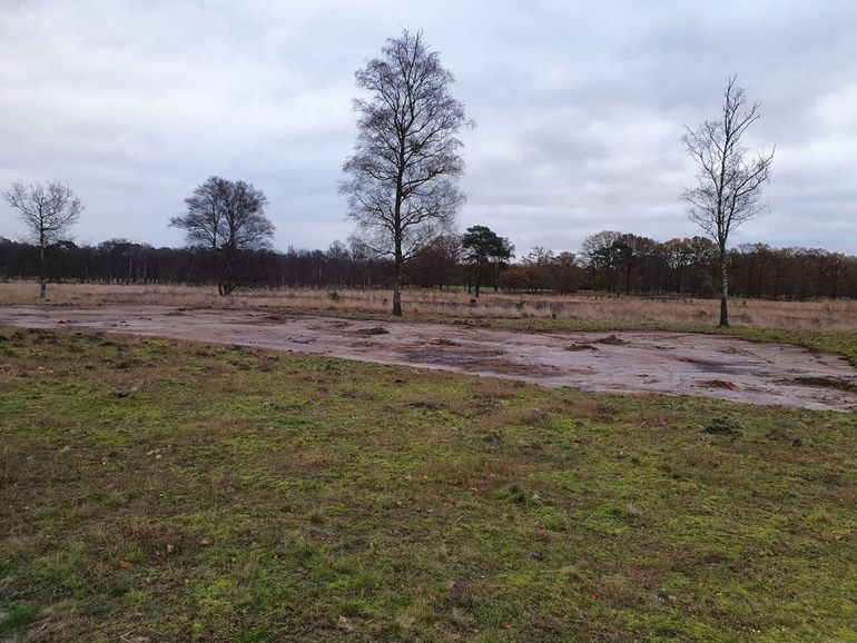 Eén van de maatregelen in Westerwolde is het plaggen in het heidegebied