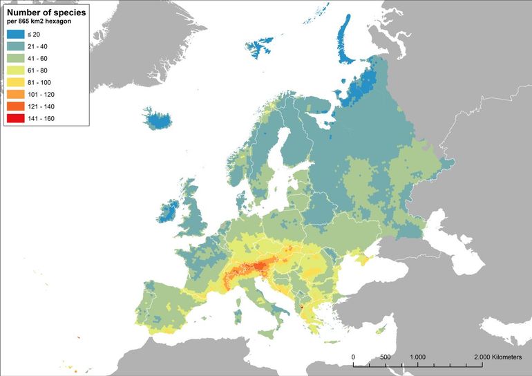 Dichtheden van bedreigde soorten in Europa