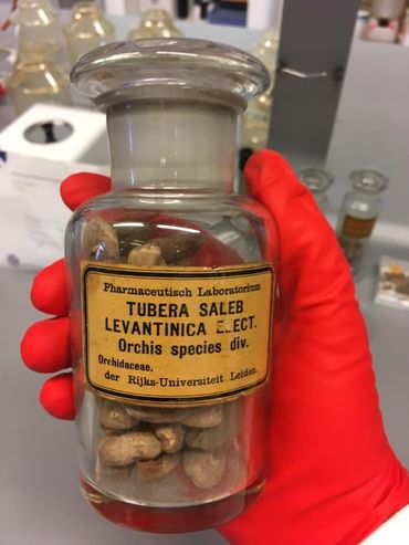 Onderzochte salep uit de collectie in Naturalis