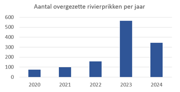 Aantal overgezette rivierprikken per jaar
