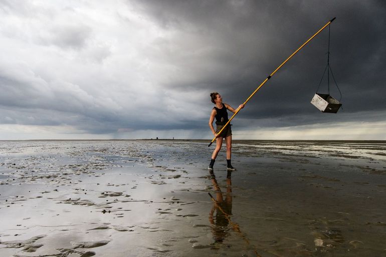 NIOZ researcher Emma Penning is collecting samples on the mudflat