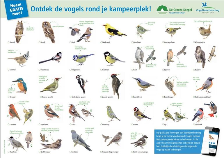 Gratis kaart: Ontdek de vogels rond je kampeerplek