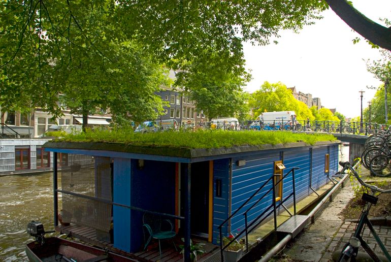 Groen dak op een woonboot in Amsterdam: wateropvang én leefgebied voor insecten en vogels