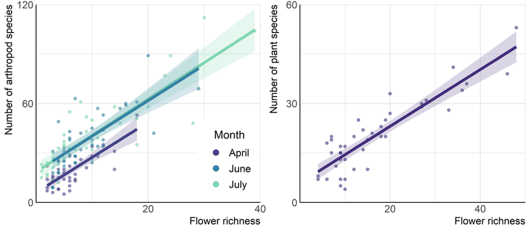 Strong relations between the flower richness of grasslands and the numbers of arthropod and plant species. All surveyed arthropod species are taken together in this graph