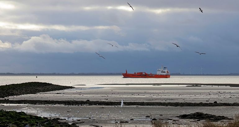 Westerschelde bij Borssele