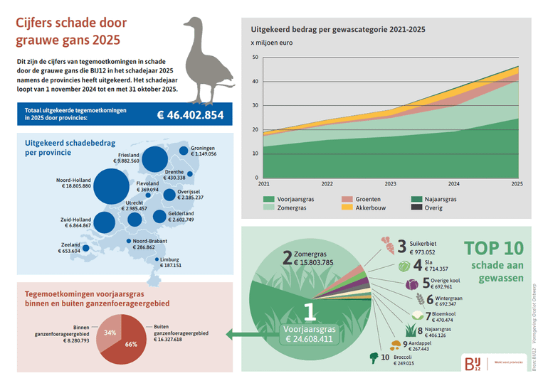 Infographic over schade door grauwe ganzen in 2025
