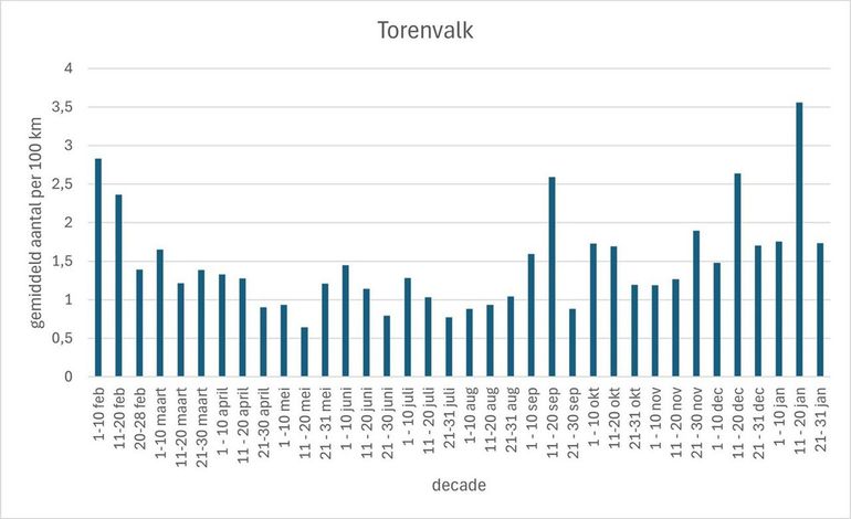 Figuur 2. Gemiddeld aantal waargenomen torenvalken per 100 gereden kilometers per decade (periode van 10 dagen) op basis van gevalideerde tellingen