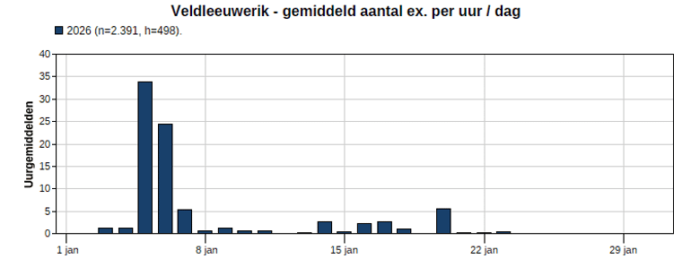 Gemiddeld aantal exemplaren per uur per dag van de veldleeuwerik in januari 2026, waarbij op 5 en 6 januari een duidelijke piek zichtbaar is