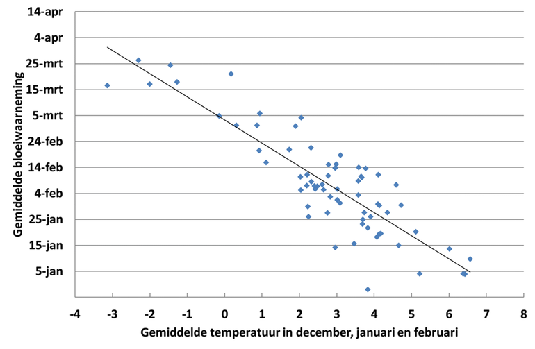 Figuur 3: Relatie tussen de gemiddelde temperatuur in de maanden december tot en met februari en de gemiddelde bloeidatum van de hazelaar