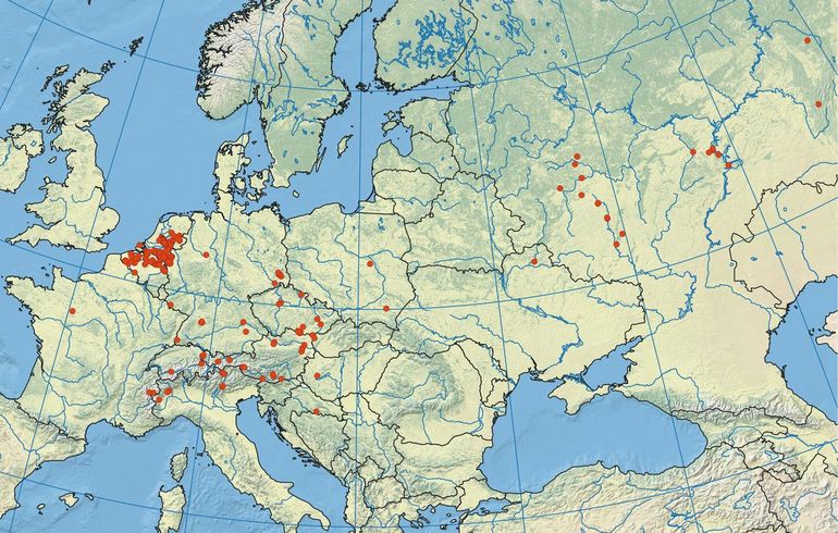 Kaart van waarnemingen van Stigmella naturnella in Europa