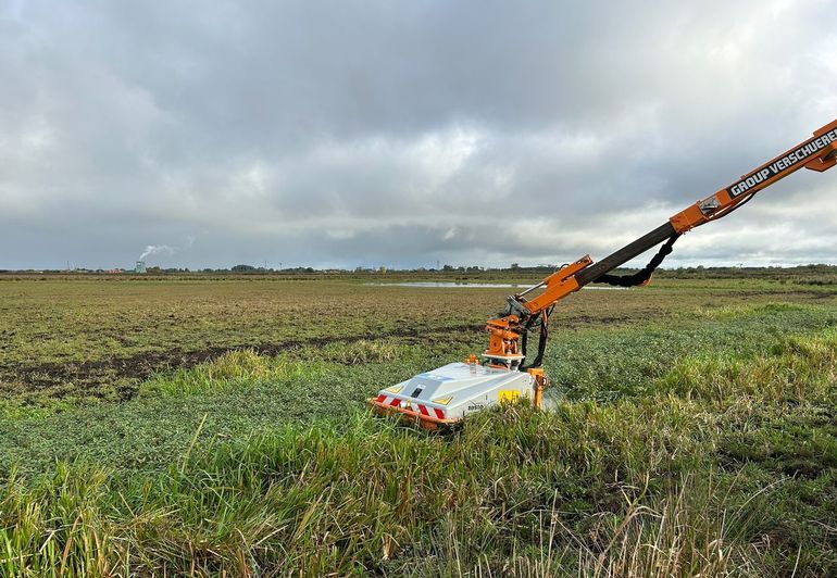 Elektrocutie waterteunisbloem