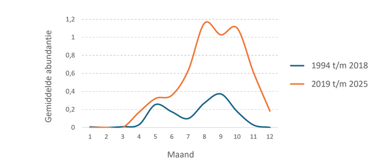 Seizoensgebonden voorkomen van de Zeekatten in de Oosterschelde, berekend voor de periode 1994 t/m 2018 en voor 2019 t/m 2025 op basis van duikwaarnemingen, verzameld in het kader van het Monitoringproject Onderwater Oever. In de eerste periode (blauwe lijn) waren er duidelijk twee pieken: een eerste piek in mei, met volwassen dieren, en een tweede piek in het najaar met alleen jonge Zeekatten. De laatste jaren (oranjerode lijn) paren de volwassen dieren ook tot ver in het najaar, waardoor er een groter aantal Zeekatten oud en jong door elkaar wordt waargenomen. Ook bij de op onze stranden aangespoelde rugschilden lijken er verschillen met vroeger te zijn (niet in de grafiek).