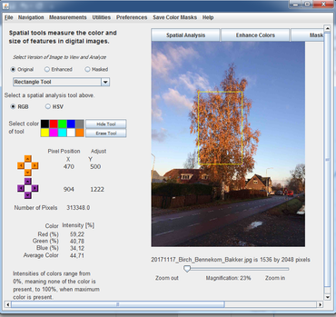 Screenshot of the software programme AnalyzingDigitalImages