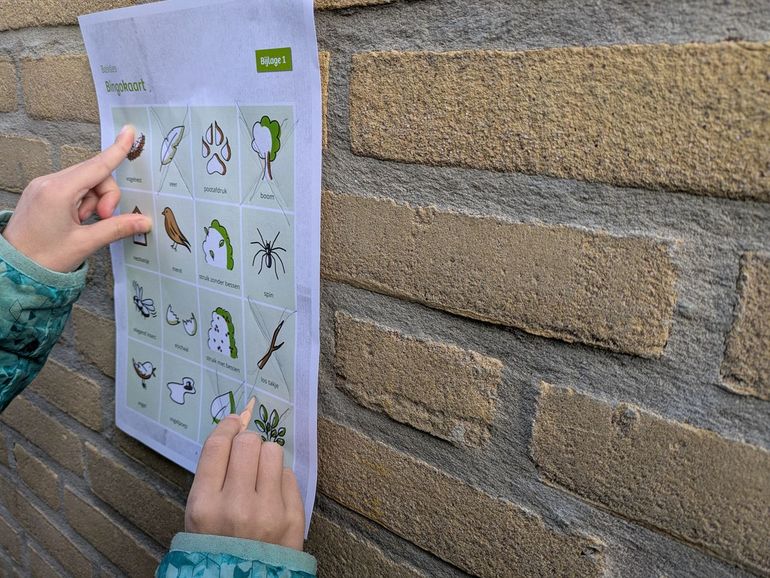 Welke sporen van bosvogels zijn er op jouw schoolplein te vinden?