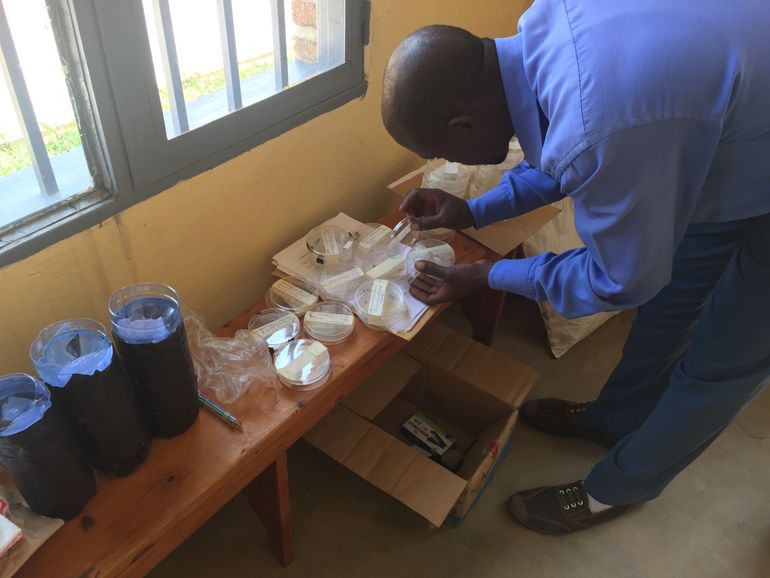 Leider van een Isibo (buurtgemeenschap) die muggenwaarnemingen van vrijwilligers verwerkt