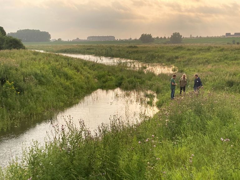 ARK werkt aan opschaling van rewilding in en om Nederland