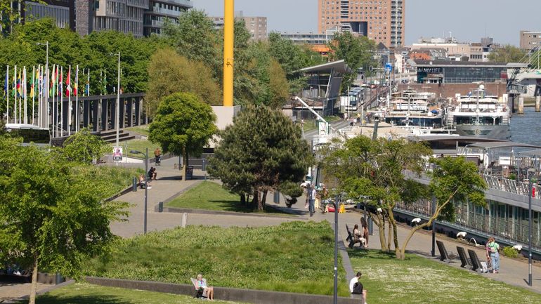 Ook in een grote stad als Rotterdam kunnen de belangen elkaar versterken