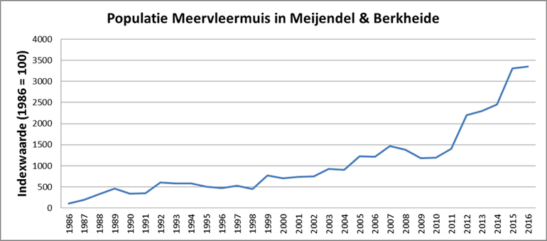 Ontwikkeling van de getelde aantallen meervleermuizen in de Natura 2000 gebieden Meijendel & Berkheide