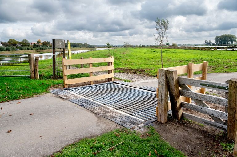 Hekwerk bij het nieuwe wildrooster in de Elster Buitenwaarden