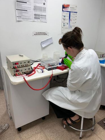 DNA-onderzoek naar de tijgermug
