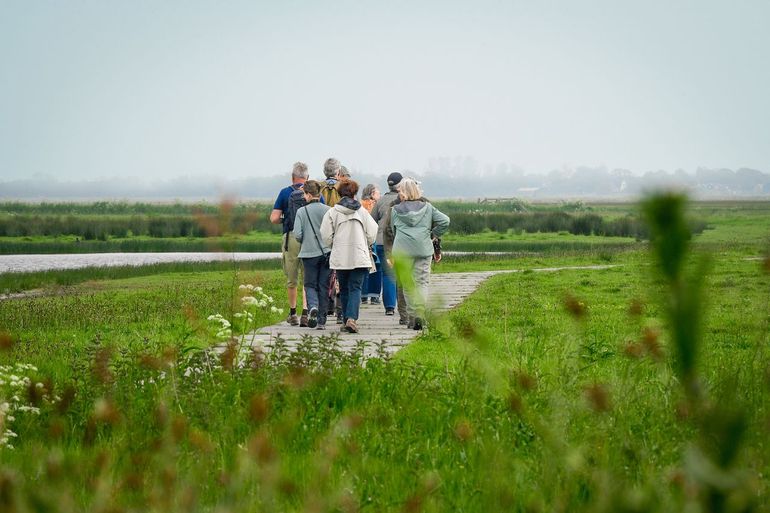Zoeken naar vogels op Texel