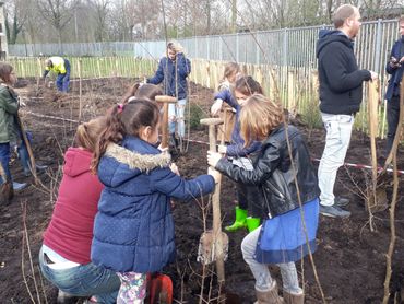 Leerlingen van basisschool De Fontein planten het eerste Tiny Forest van Breda aan