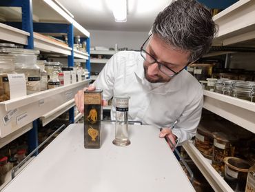 Collectiebeheerder Hannco Bakker met een stel potten met zeelelies