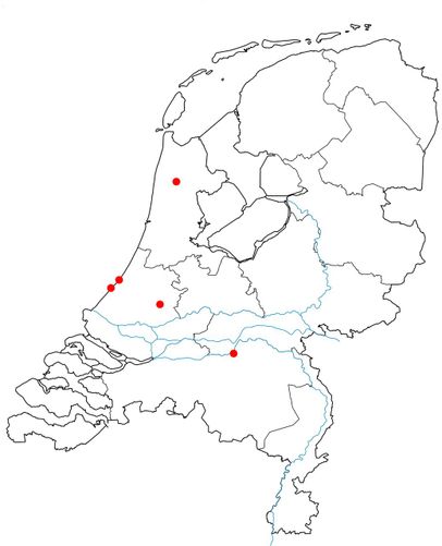 Vindplaatsen geelnekdrooghouttermiet