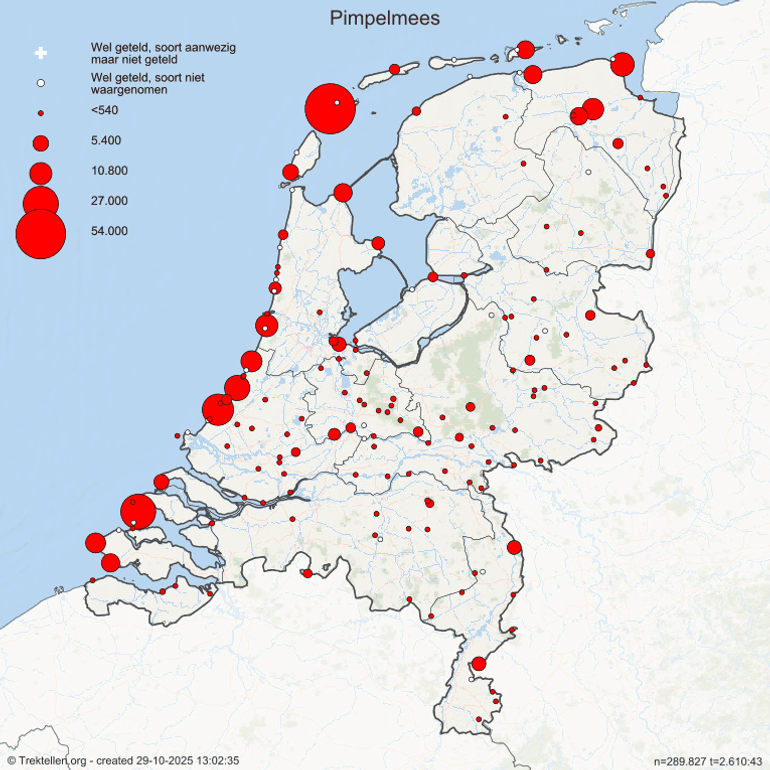 Kaartbeeld van de getelde pimpelmezen op de trektelposten in Nederland, in periode 16 tot 29 oktober 2025