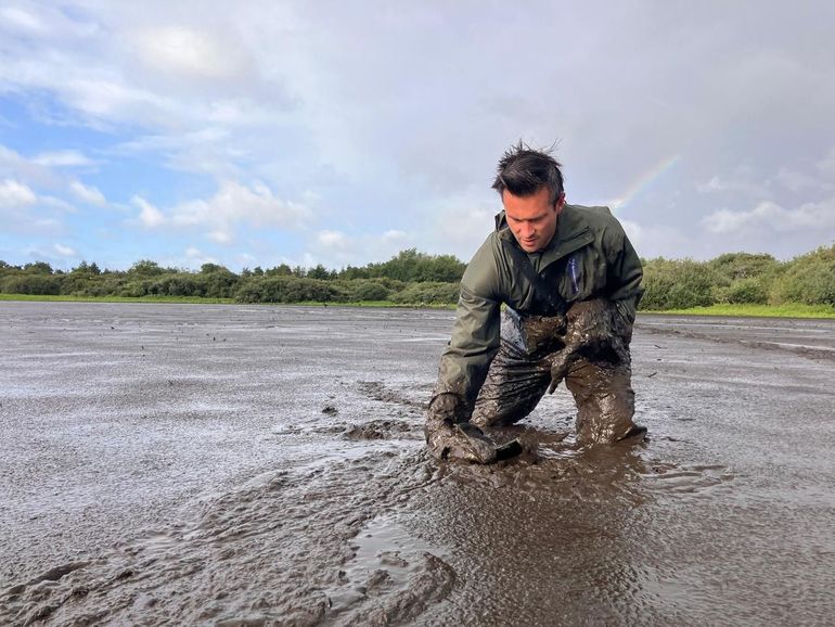 Boswachter Mark haalt jonge aalscholvers uit de bagger in Quackjeswater, een natuurgebied in Zuid-Holland