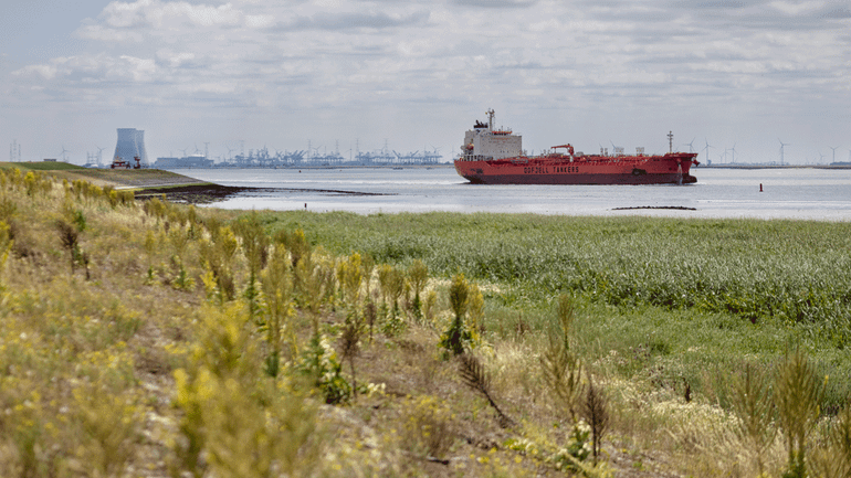De enorme containerschepen varen af en aan door de Westerschelde naar of van de haven van Antwerpen