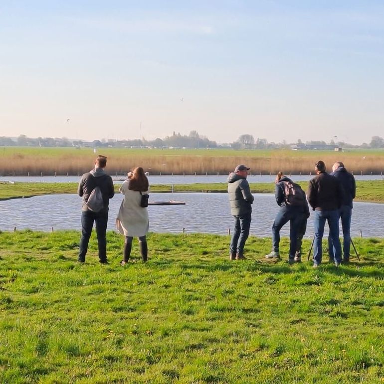 Vogels kijken in Het Kraaiennest